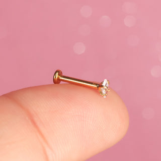 Piercing 1era Perforación Spark Titanio