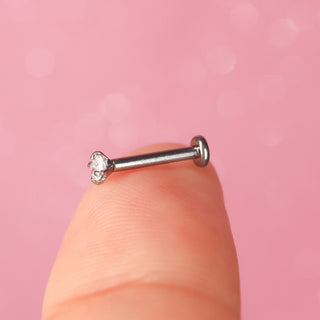 Piercing 1era Perforación Spark Titanio