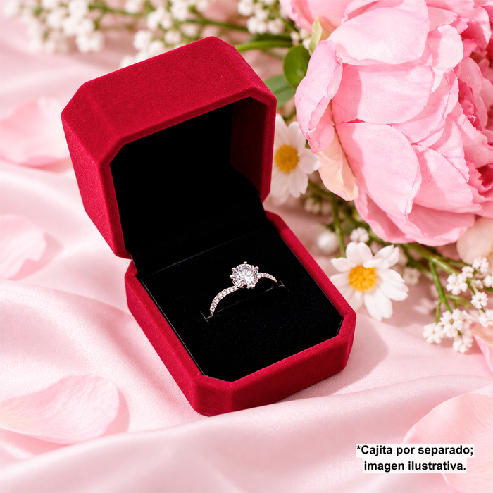 Cajita de Regalo Red Wine Anillo o Aretes Chicos