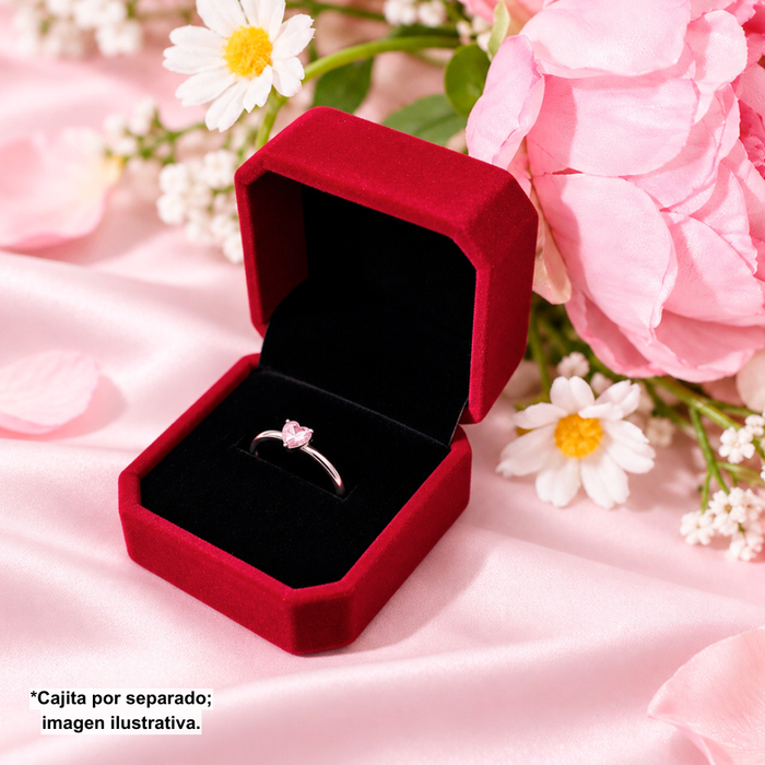 Cajita de Regalo Red Wine Anillo o Aretes Chicos