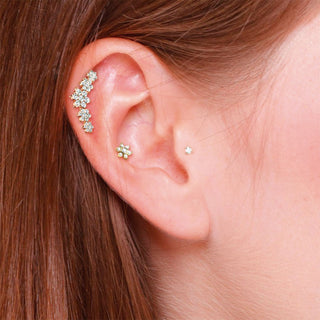 Set de Flores y Zirconias