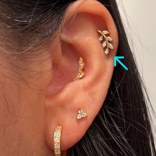 Piercing 1era Perforación Hojita Titanio