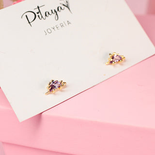 Aretes de Dinosaurio