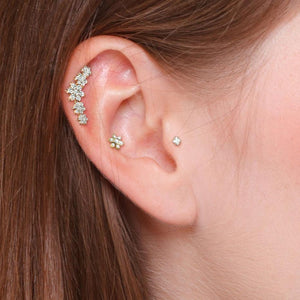 Oreja