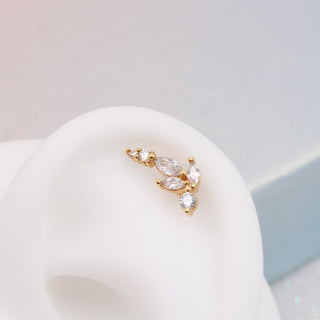 Piercing Serene Zirconias