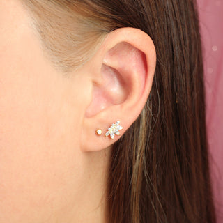 Piercing Luminous Zirconias 1ra Perforación Titanio