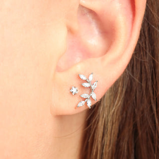 Piercing Olimpo