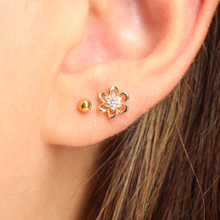 Piercing Petal Shine Zirconias