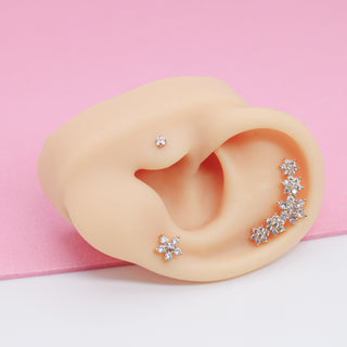 Set de Flores y Zirconias