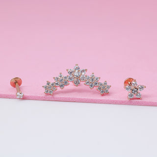 Set de Flores y Zirconias