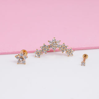 Set de Flores y Zirconias