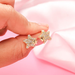 Aretes Shining Stars