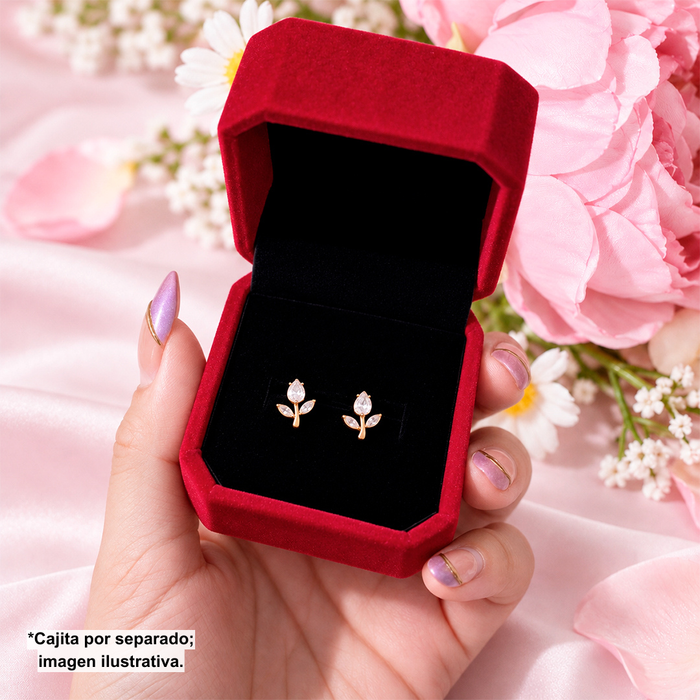 Cajita de Regalo Red Wine Anillo o Aretes Chicos