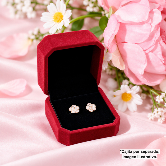 Cajita de Regalo Red Wine Anillo o Aretes Chicos