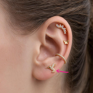 Piercing Colibrí