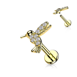 Piercing Colibrí