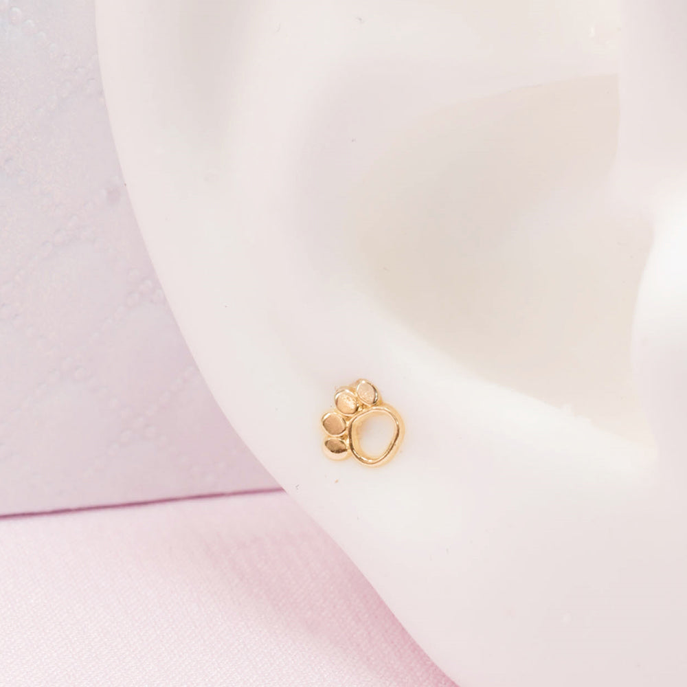 Piercing Oro 10k Patita