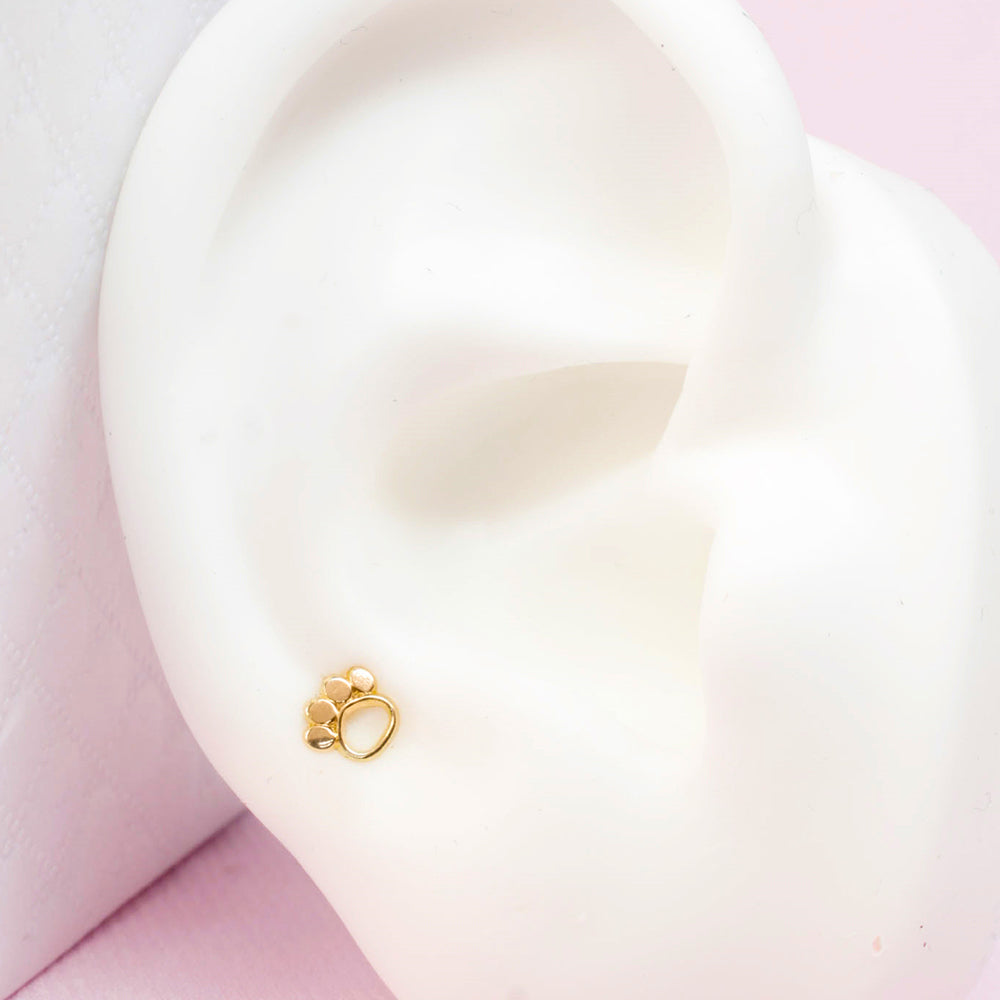 Piercing Oro 10k Patita
